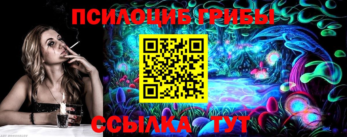 Галлюциногенные грибы прущие грибы Свободный
