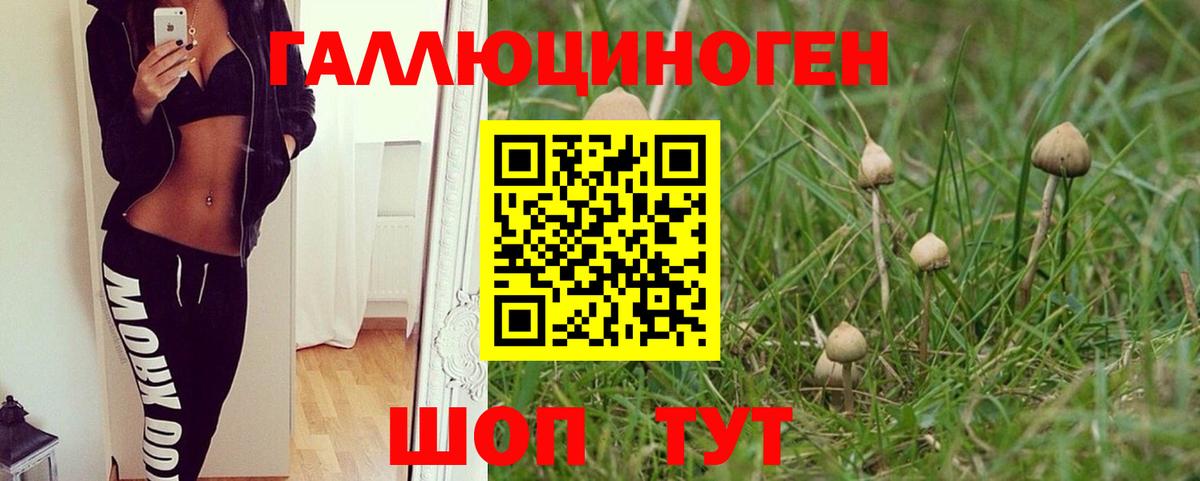 Свободный  Галлюциногенные грибы Magic Shrooms  Псилоцибиновые грибы прущие грибы  Вход с VPN 